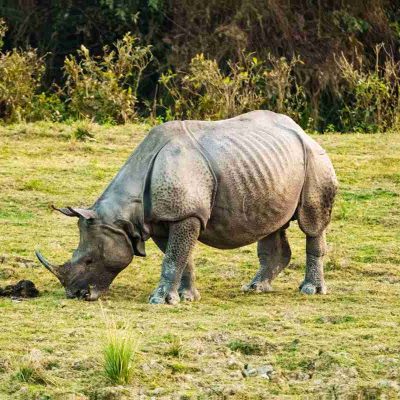 Chitwan National Park