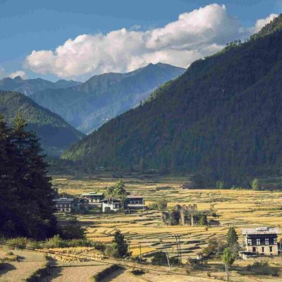 Punakha Dzong